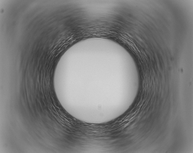 X0000087391298200704200918