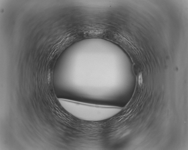 X0000087391299200704200918