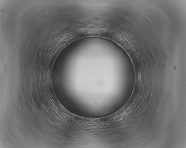 X0000087391300200704200918