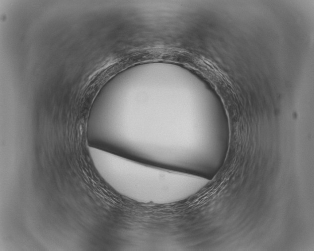 X0000087391302200704200918