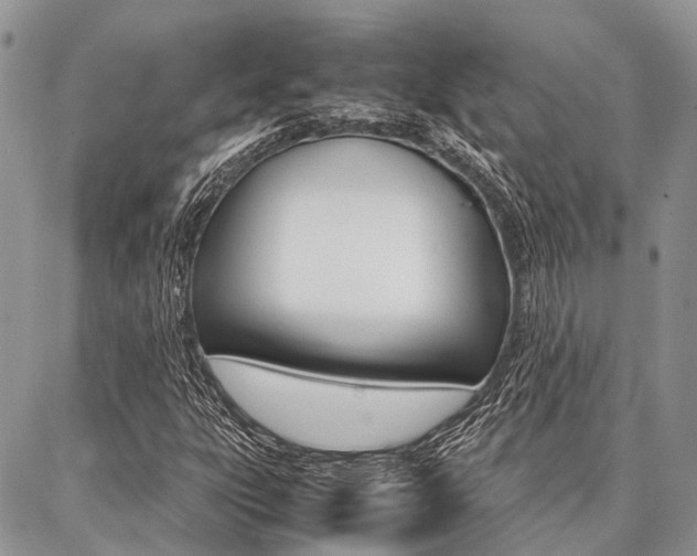 X0000087391303200704200918