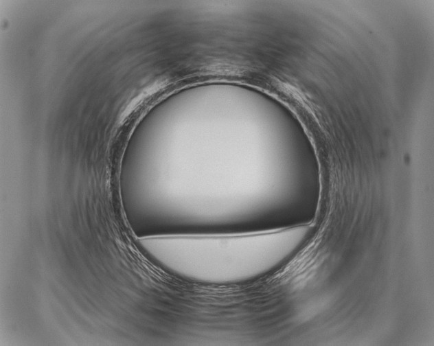 X0000087391307200704200918