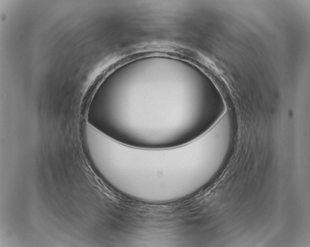 X0000087391312200704200918