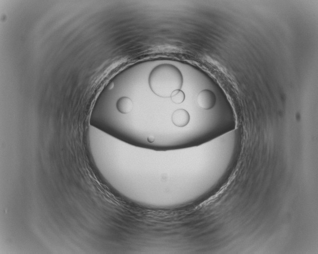 X0000087391313200704200918