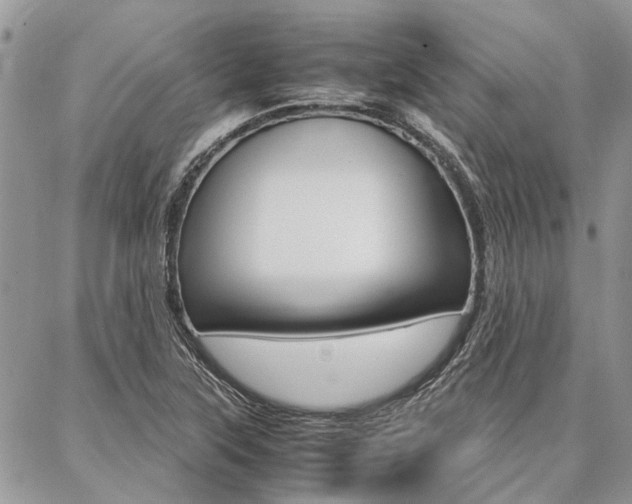 X0000087391315200704200918