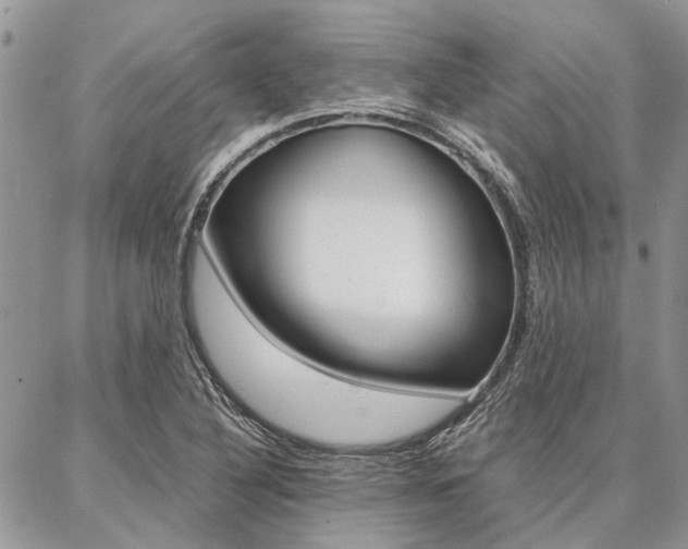 X0000087391316200704200918