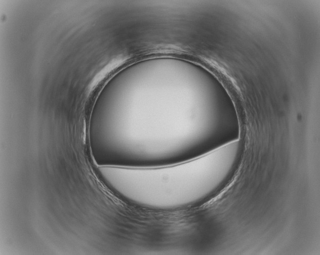 X0000087391317200704200918