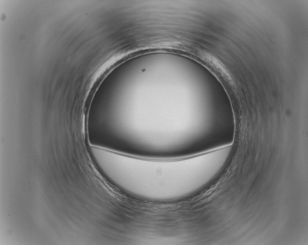 X0000087391324200704200918