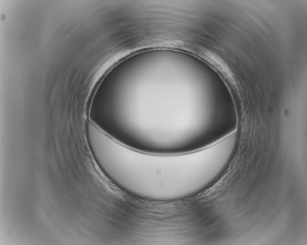 X0000087391332200704200918