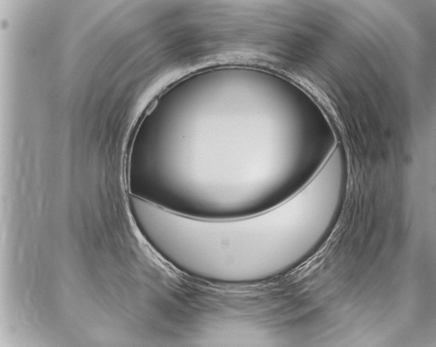 X0000087391342200704200918