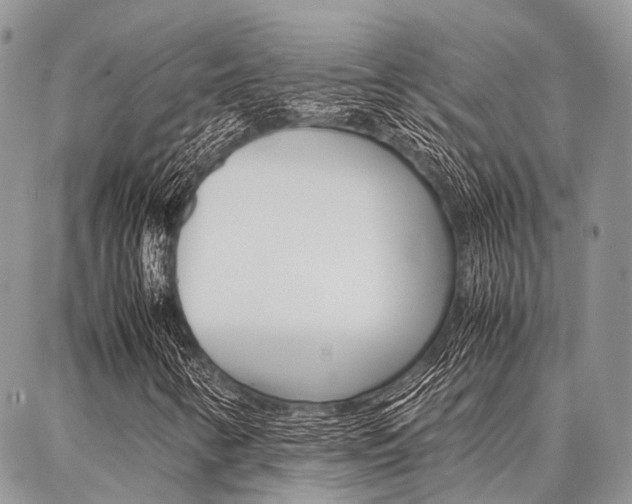 X0000087391346200704200917