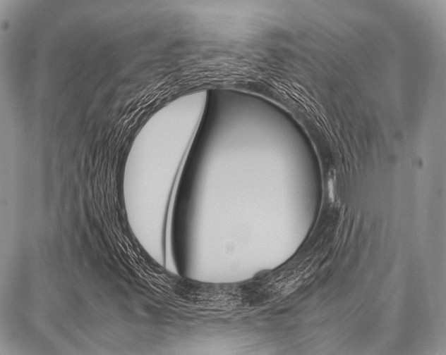 X0000087391347200704200917