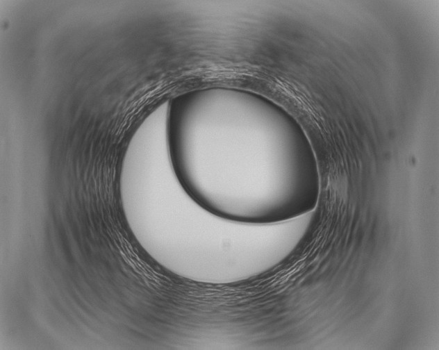 X0000087391348200704200917