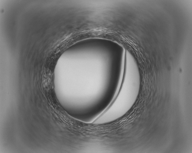 X0000087391349200704200917