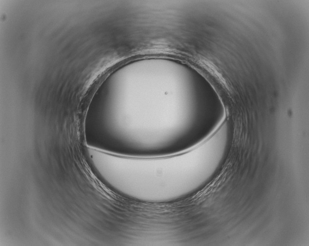 X0000087391356200704200917