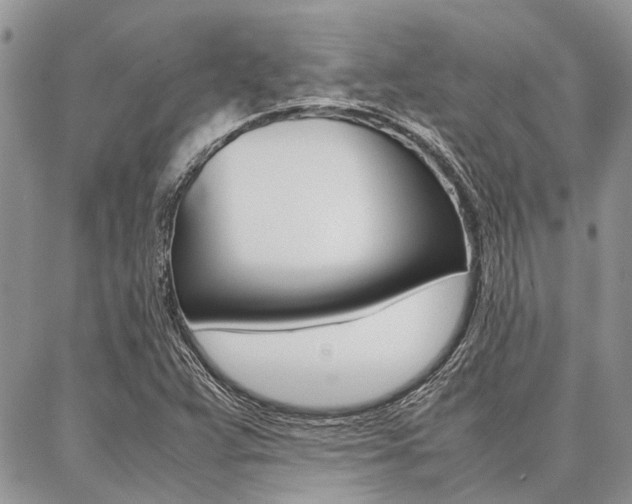 X0000087391359200704200917