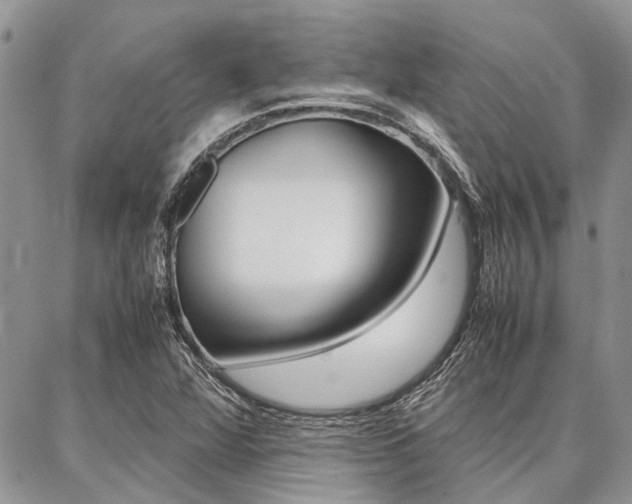 X0000087391360200704200917