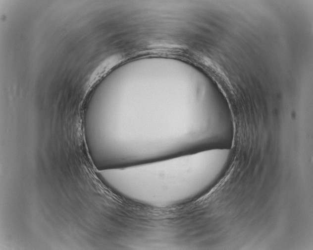X0000087391362200704200917