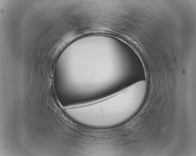 X0000087391363200704200917