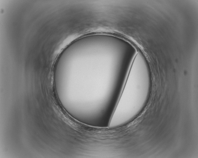 X0000087391367200704200917