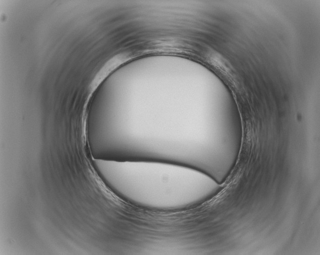 X0000087391370200704200917