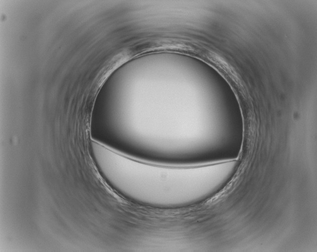 X0000087391377200704200917