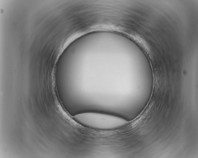 X0000087391382200704200917