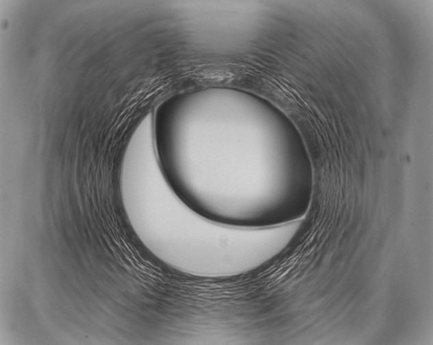 X0000087391394200704200916