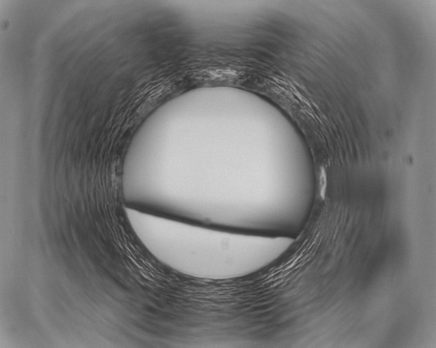 X0000087391395200704200916
