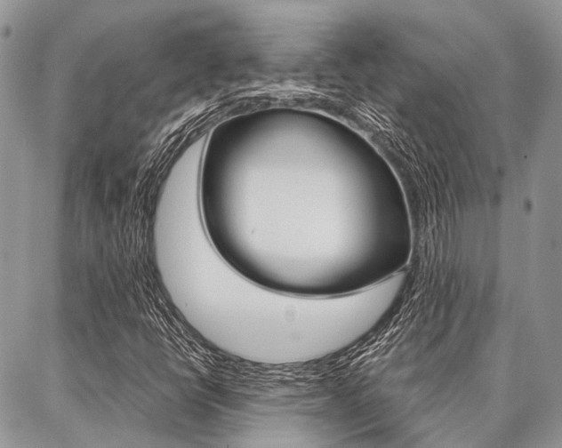 X0000087391398200704200916