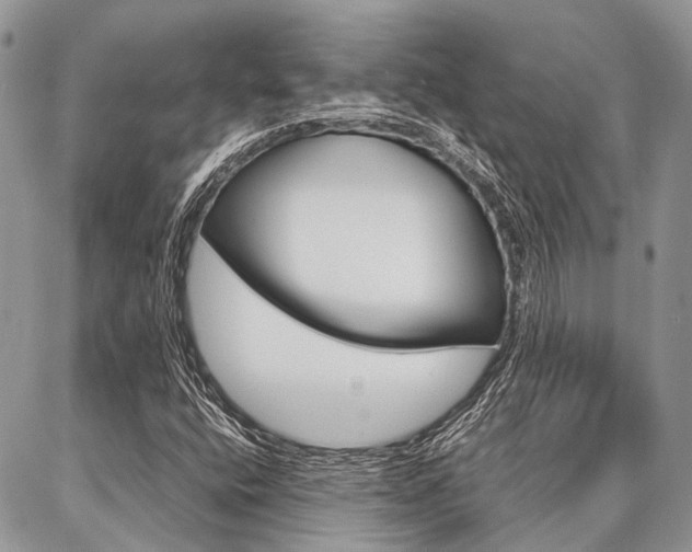 X0000087391400200704200916