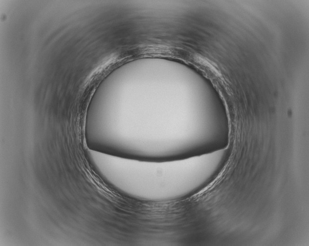 X0000087391403200704200916