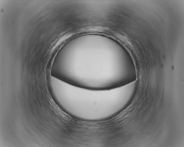 X0000087391404200704200916