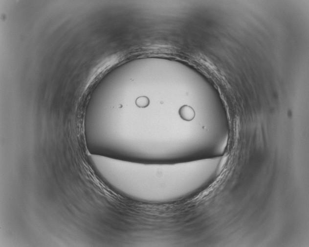 X0000087391405200704200916