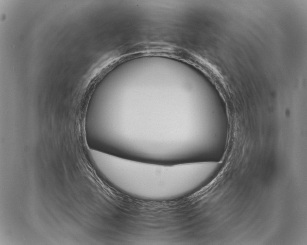 X0000087391407200704200916