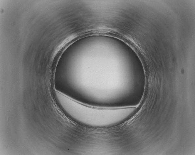 X0000087391410200704200916