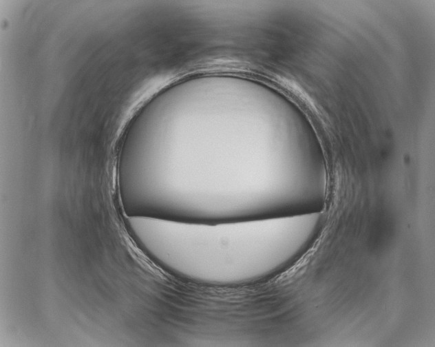 X0000087391413200704200916