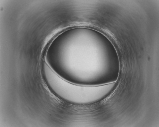 X0000087391414200704200916