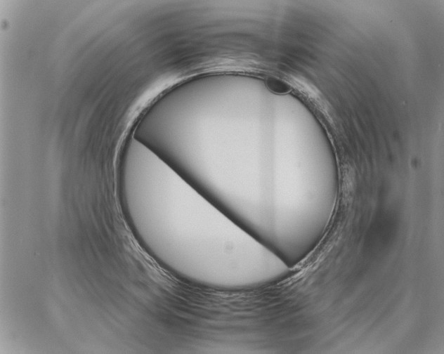 X0000087391419200704200916
