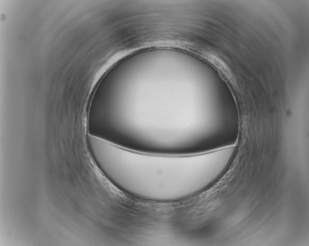 X0000087391428200704200917