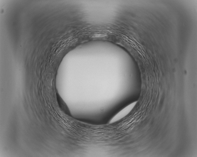X0000087391441200704200916