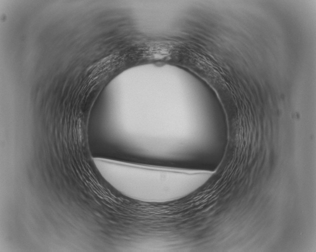 X0000087391442200704200916