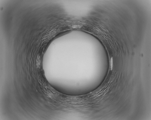 X0000087391443200704200916