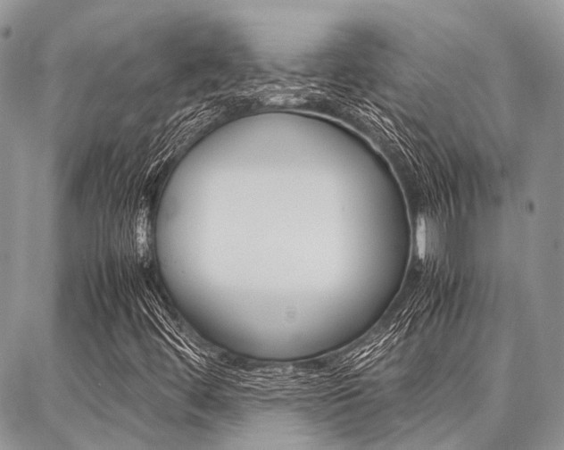 X0000087391444200704200916