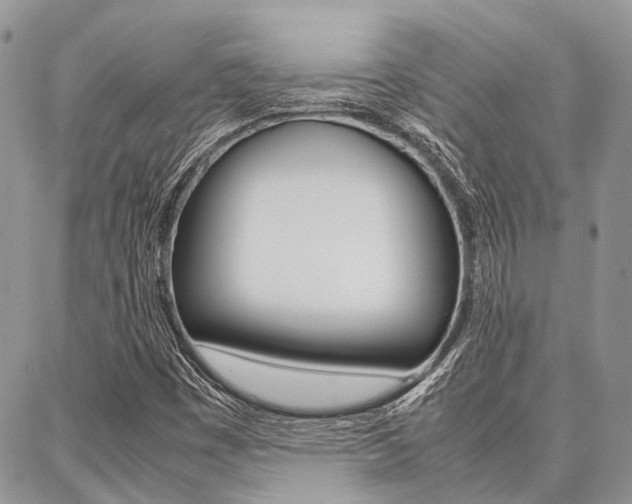 X0000087391449200704200916