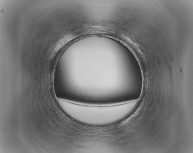X0000087391453200704200916