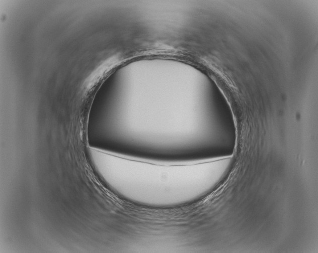X0000087391455200704200916