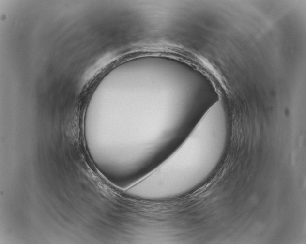 X0000087391456200704200916