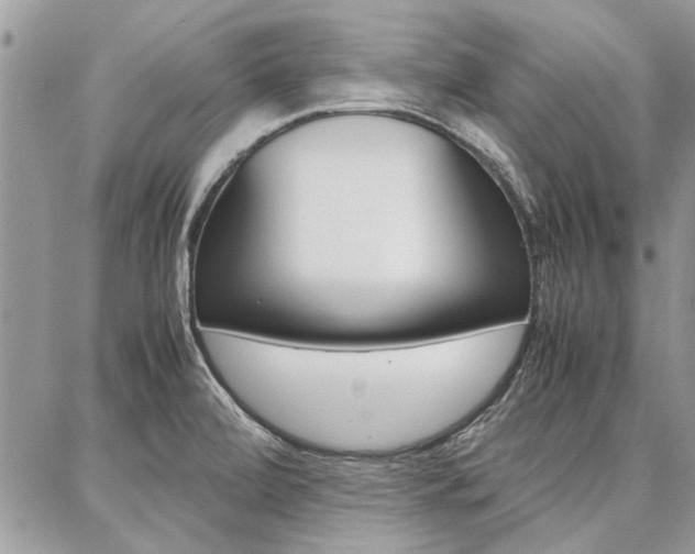 X0000087391472200704200915