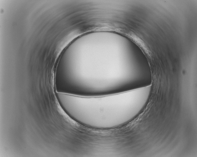 X0000087391476200704200915